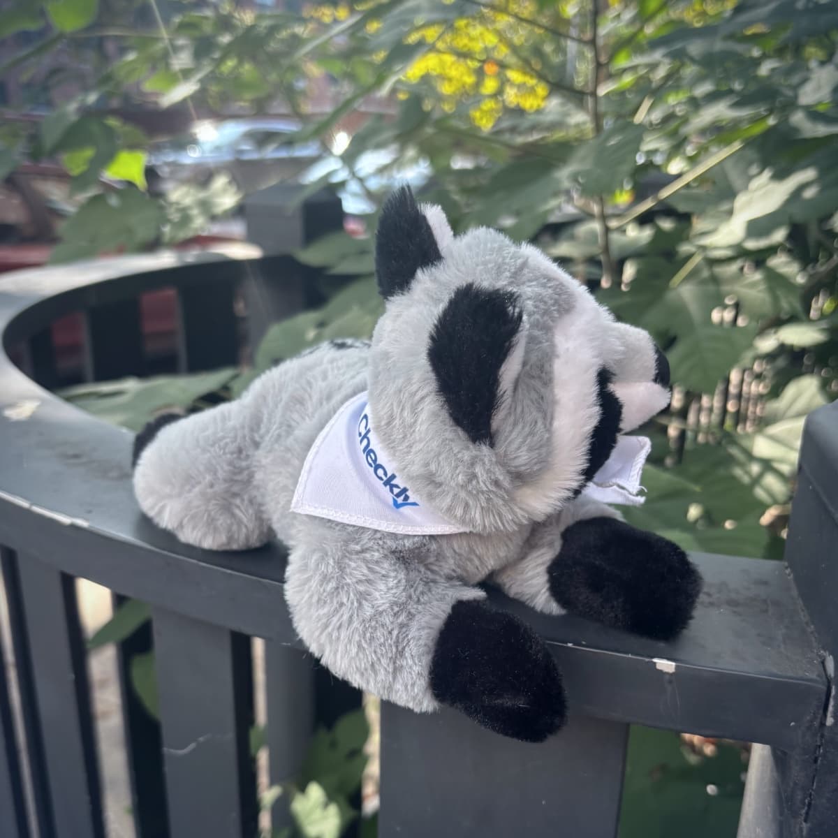 Checkly raccoon plushie in a branded bandana, resting on a fence